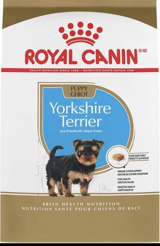 Yorkshire terrier cibo - terrier, secco