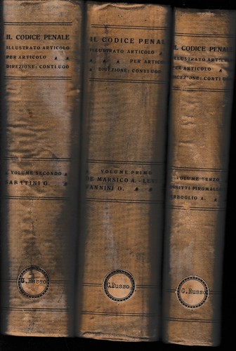 Codice penale illustrato - il,