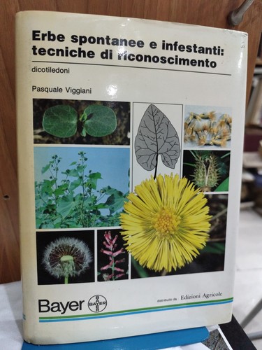 Viggiani erbe spontanee e - p.,