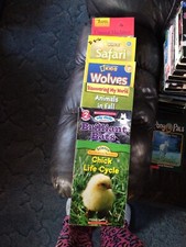 Lot 6 Books variety of Topics