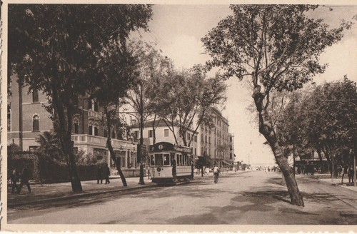 1595 venezia viale - 2,