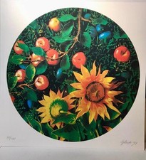 Gilardi Piero N 2 Serigrafie Originali Girasole e Frutti 1997  70x70
