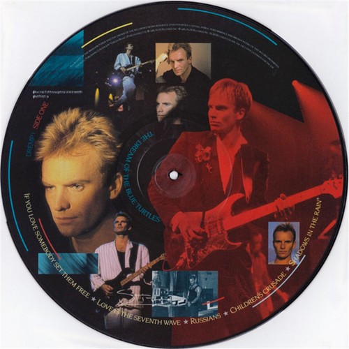 Sting the dream - sting,