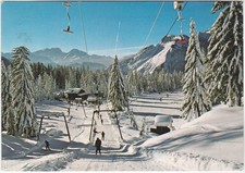 ALLEGHE - BELLUNO - CAROSELLO SCIISTICO - PIANI DI PEZZE' - VIAGG. -25195-