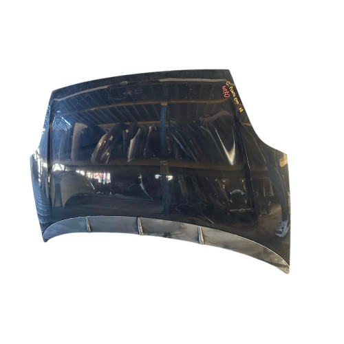 Cofano anteriore fiat grande - cofano,
