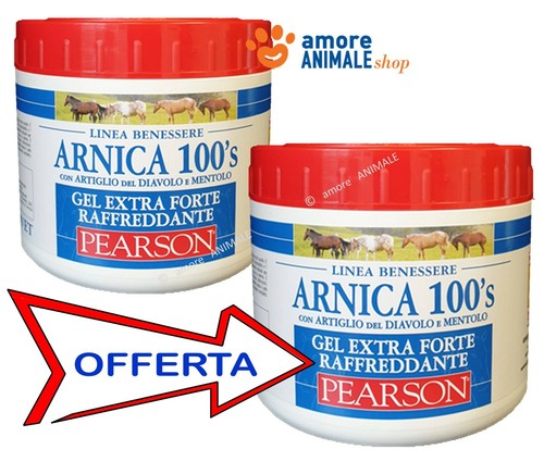 Arnica 100 pearson - 100's, 500