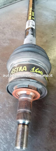 Semialbero anteriore - , dx