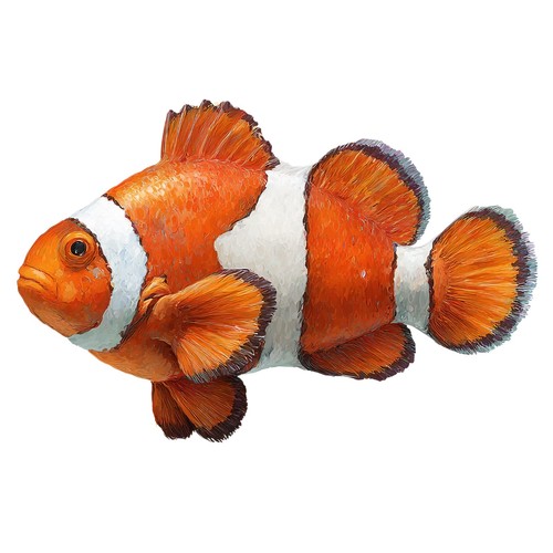 Adesivi pesce pagliaccio - 3,
