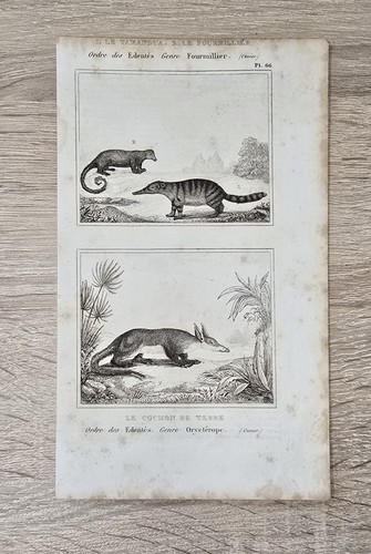Buffon histoire naturelle - buffon, 1850