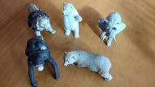 5 modellini animali selvatici