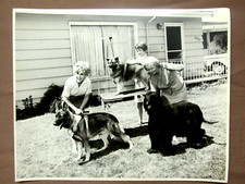 FOTO VINTAGE BELLINGHAM HERALD