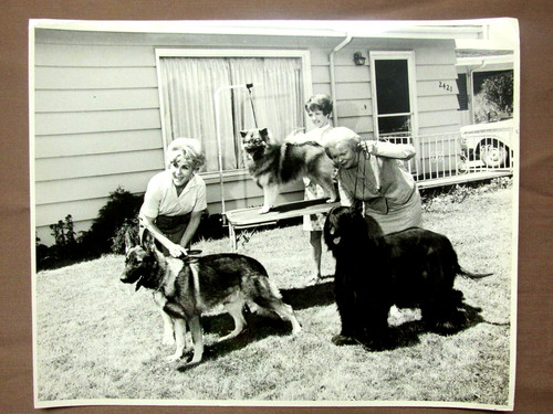 Foto vintage bellingham herald - foto,