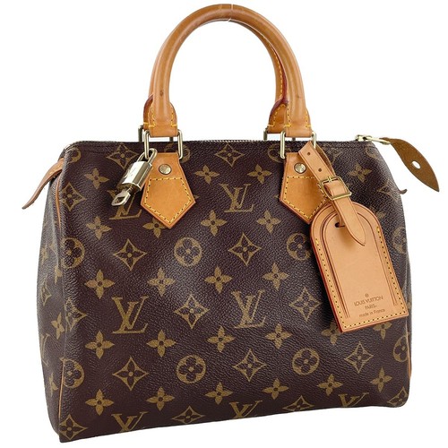 Borsa mano louis vuitton - louis,