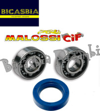 13494 CUSCINETTI ALBERO MOTORE