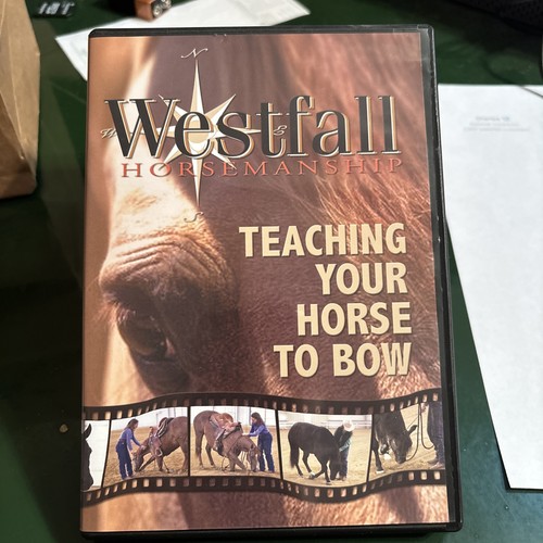 Teaching your horse - teaching,