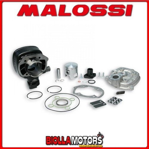 3112893 gruppo termico malossi - 3112893,