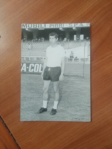 Foto tiddia cagliari - tiddia,