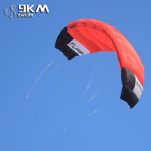 4sqm line power kite - 4sqm,