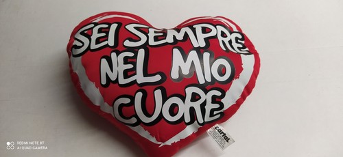 Cuscino cuore sei - cuscino,