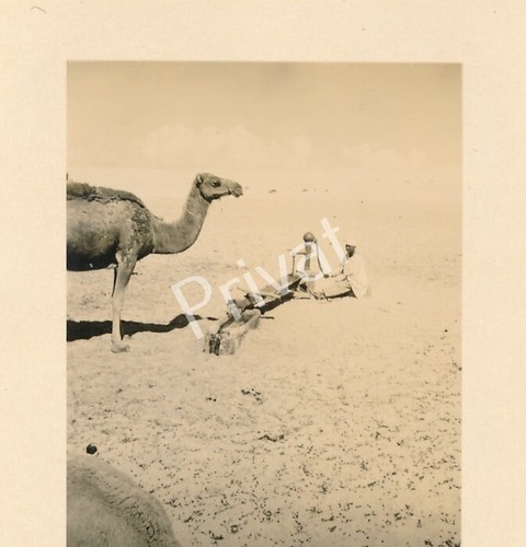 Foto seconda guerra mondiale