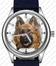 Alsaziano Pastore Tedesco