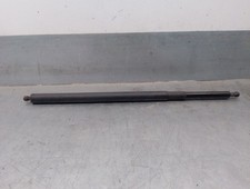 D56070 AMMORTIZZATORI BAULE /