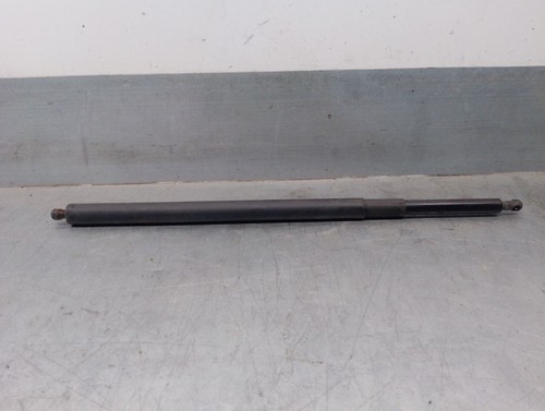 D56070 ammortizzatori baule - d56070, /