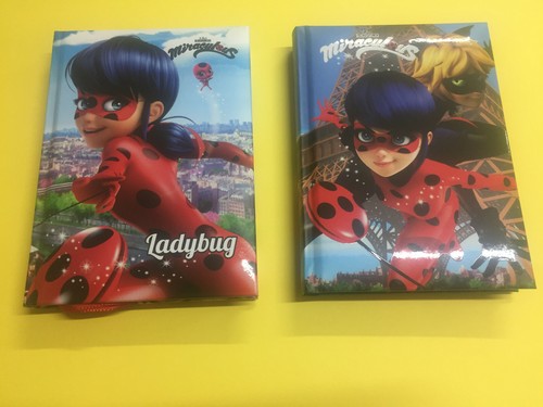 Miraculous lady bug - bug, chat