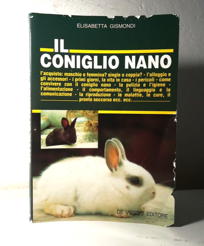 Coniglio nano elisabetta - coniglio,
