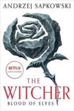 Blood of Elves (The Witcher