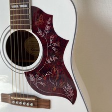 epiphone colibrì bianco mai