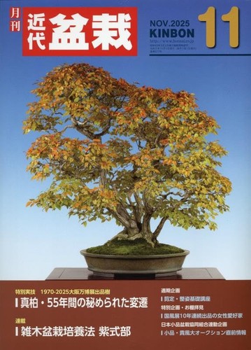 Japanese bonsai magazine - japanese,