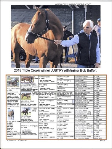 Race horse justify - race,