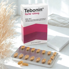 1 X Estratto di Ginkgo Biloba