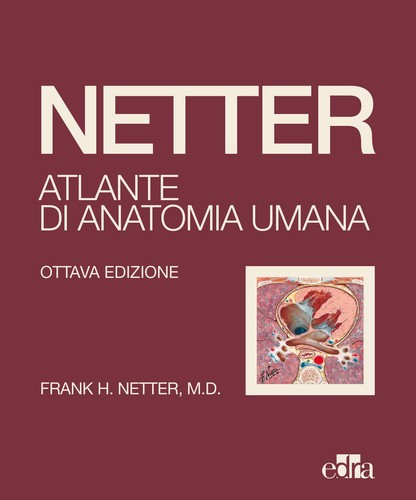 Netter atlante anatomia - netter.,