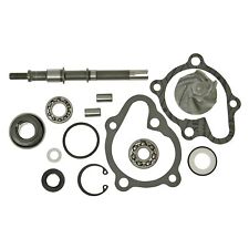 Riparazione delle pompe