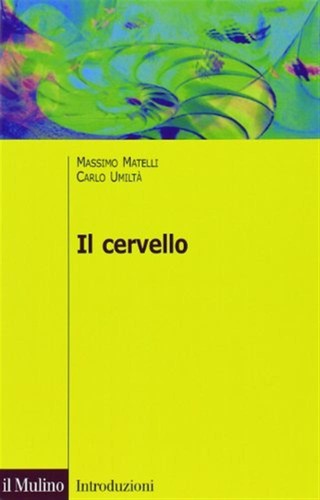 Cervello anatomia e - cervello.,