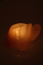 PORTACANDELA  DI SALE ROSA