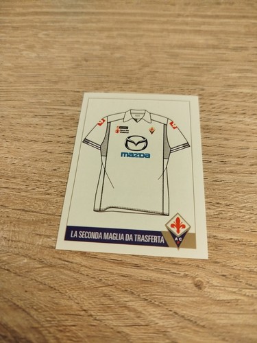 Erredi fiorentina 2011 - fiorentina, 12