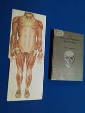 1909 ATLANTE DI ANATOMIA UMANA _ DESCRIZIONE DEL CORPO UMANO, ATLAS DER ANATOMIE