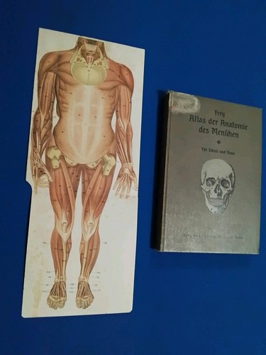 1909 atlante anatomia umana - 1909,