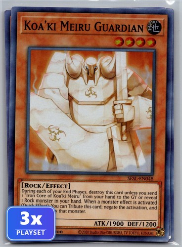 Koa meiru guardian - koa'ki,