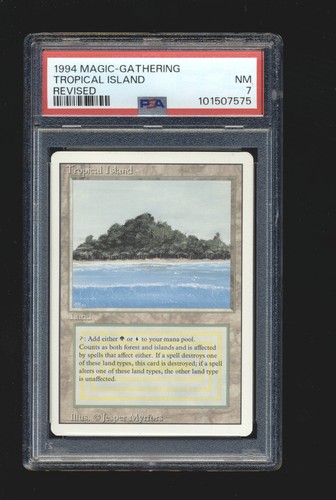 Tropical island revised psa - tropical,