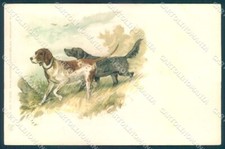 Animali Cane Caccia Setter serie 210-5038 cartolina cartolina TW1119