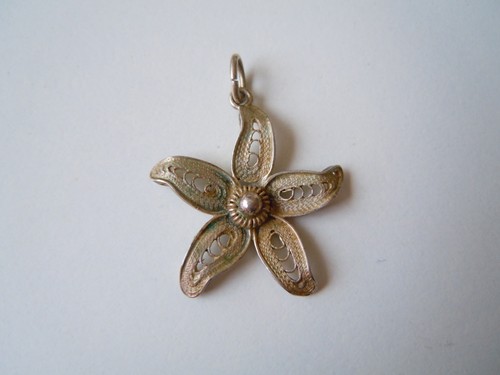 Ciondolo argento testato - argento,