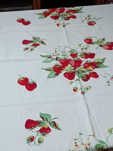 Tovaglia fragole cotone - tovaglia,