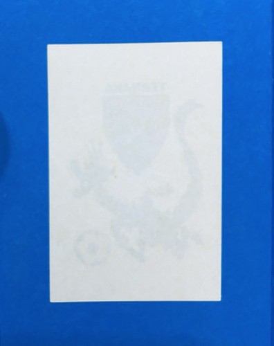 Figurina calciatori panini - figurina,