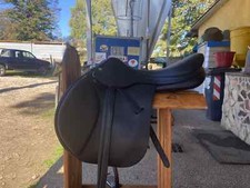 vendo sella equipe expression nera, mis. 17,5, anno 2023 Monica 3387730274