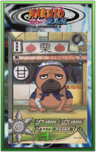 Pakkun naruto kayou - pakkun,
