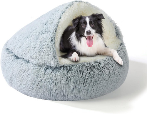 Cuccia per cani - in,